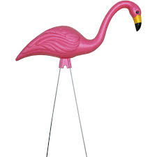 pink flamingo